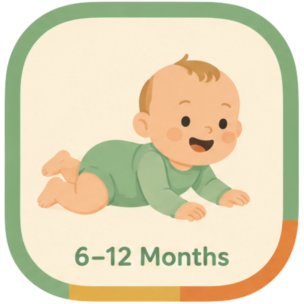 6–12 Months