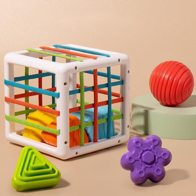 Montessori Box™ – Shape Sorting & Skills Educational Toy