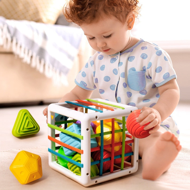 Montessori Box™ – Shape Sorting & Skills Educational Toy