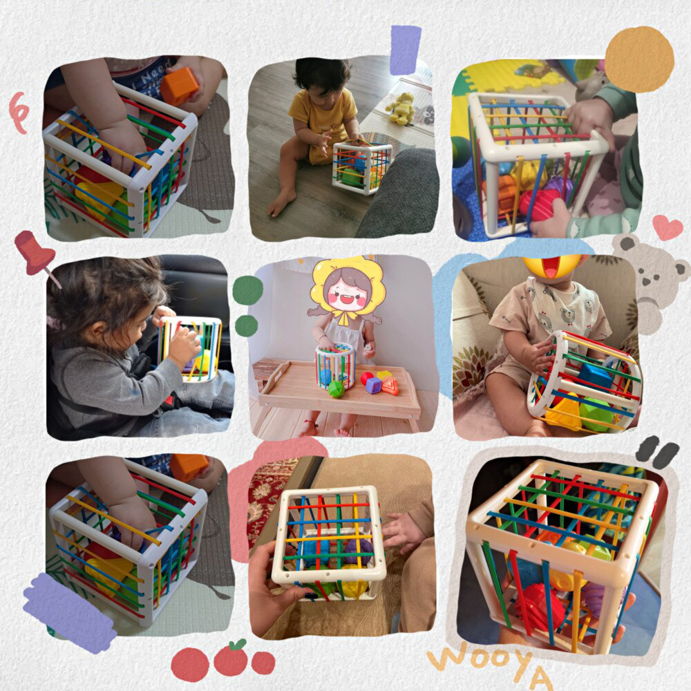Montessori Box™ – Shape Sorting & Skills Educational Toy