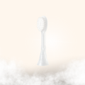 Brush Attachment