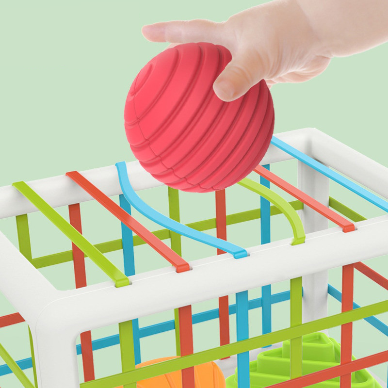 Montessori Box™ – Shape Sorting & Skills Educational Toy