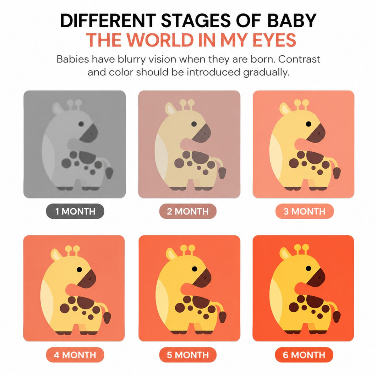 Montessori Baby Visual Cards